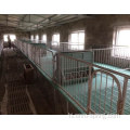 सुअर फार्म उपकरण सूअर Slatted तल